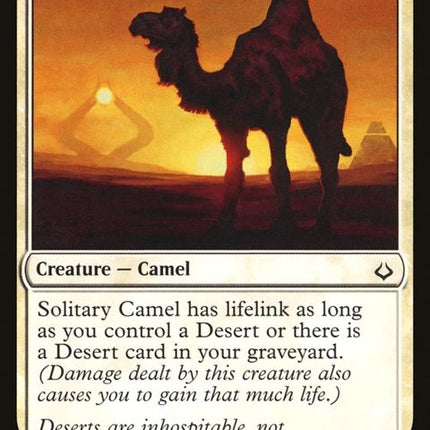 23-solitarycamel
