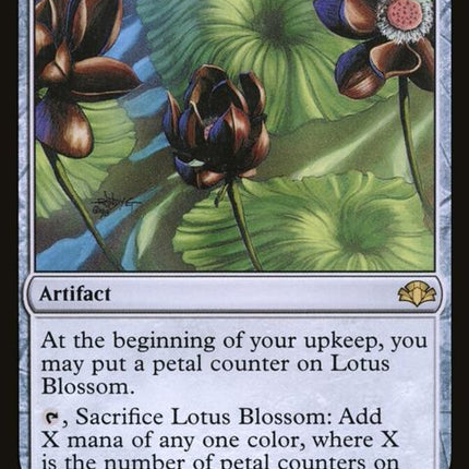 230-lotusblossom
