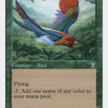 231-birdsofparadise