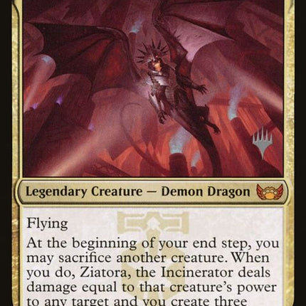 231p-ziatoratheincinerator
