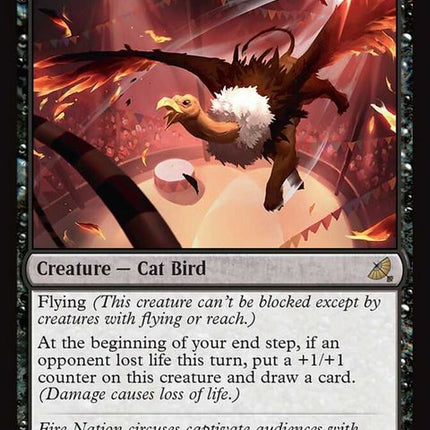 232-lionvulture