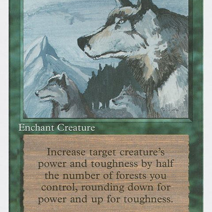 233-aspectofwolf