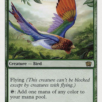 233-birdsofparadise