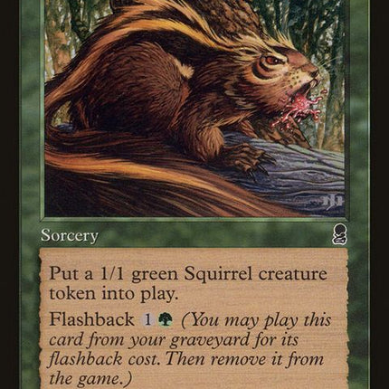 233-chatterofthesquirrel