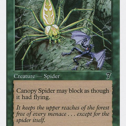 234-canopyspider