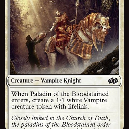 235-paladinofthebloodstained