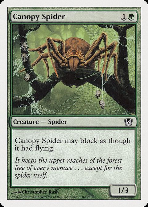 236-canopyspider