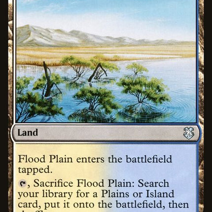 237-floodplain