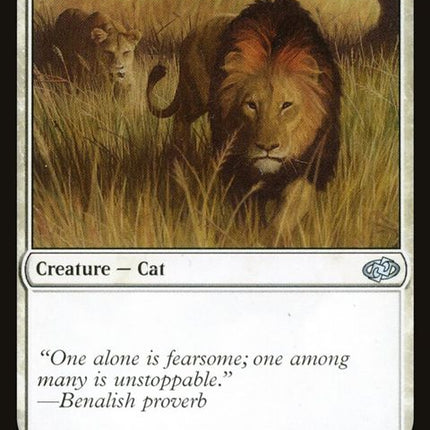 237-savannahlions