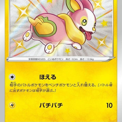 238-yamper