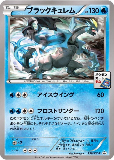 239-blackkyurem