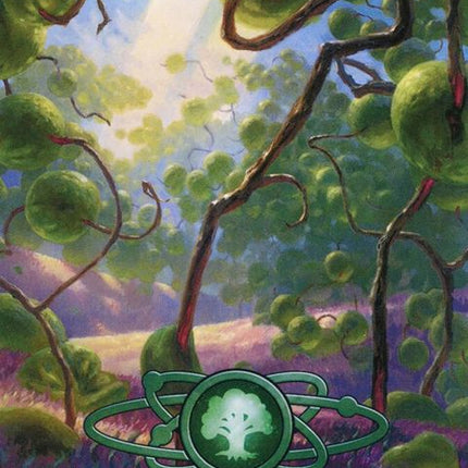 239-forest