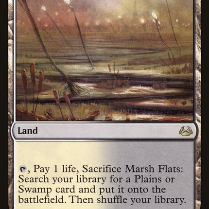 239-marshflats