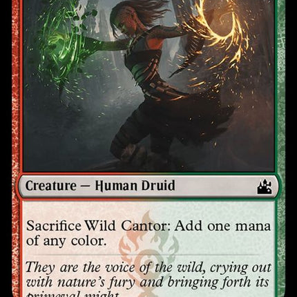 239-wildcantor