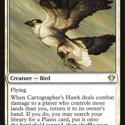 24-cartographershawk