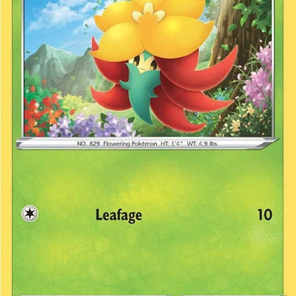 24-gossifleur