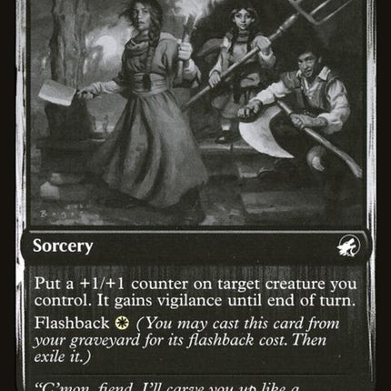 24-homesteadcourage