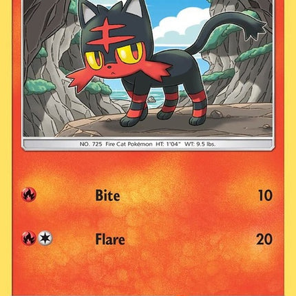 24-litten