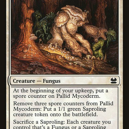 24-pallidmycoderm