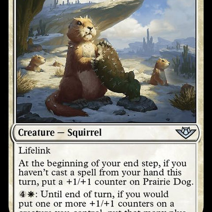 24-prairiedog