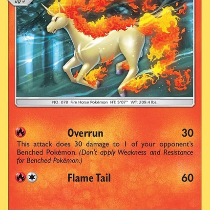 24-rapidash