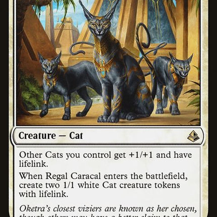 24-regalcaracal