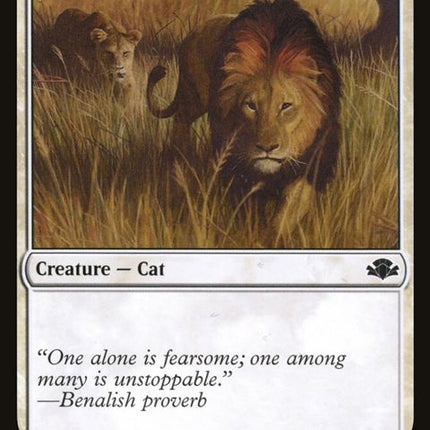 24-savannahlions