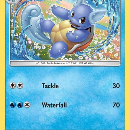 24-wartortle