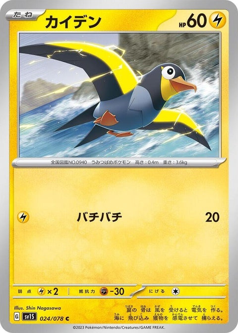 24-wattrel
