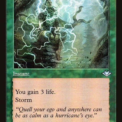 24-weatherthestorm