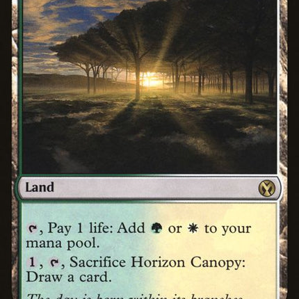 240-horizoncanopy