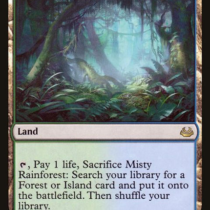240-mistyrainforest