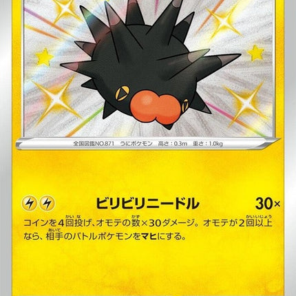 242-pincurchin
