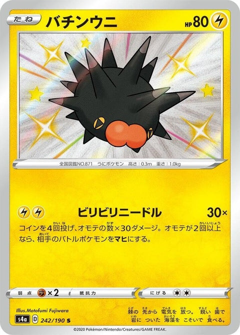 242-pincurchin