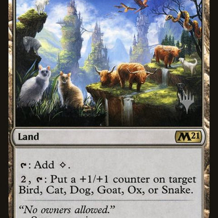 242p-animalsanctuary