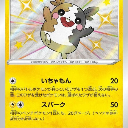 243-morpeko