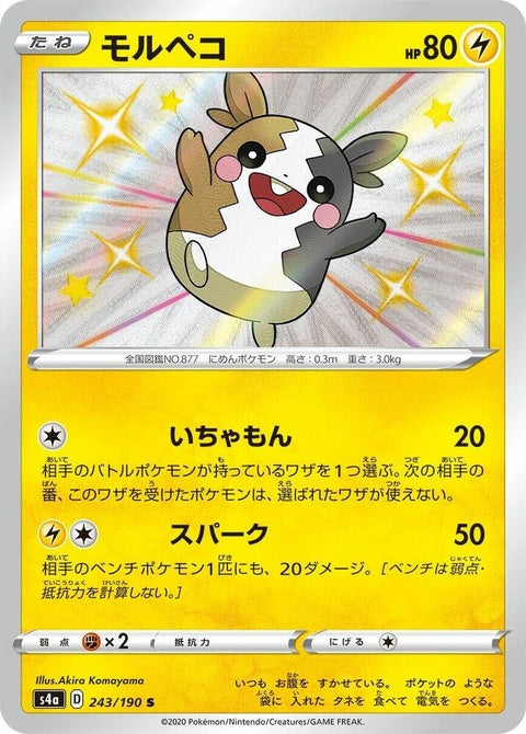 243-morpeko