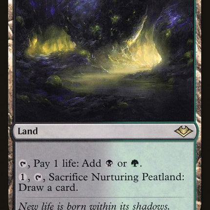 243-nurturingpeatland