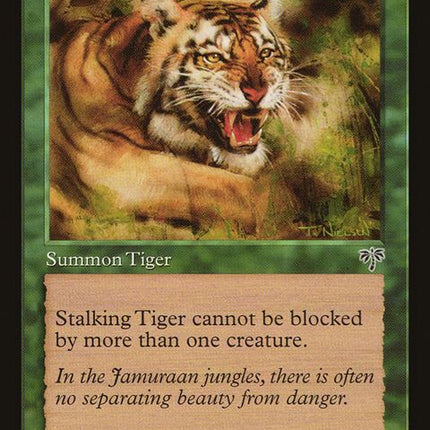 243-stalkingtiger