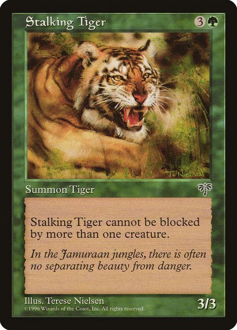 243-stalkingtiger