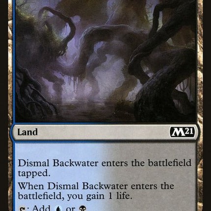 245-dismalbackwater