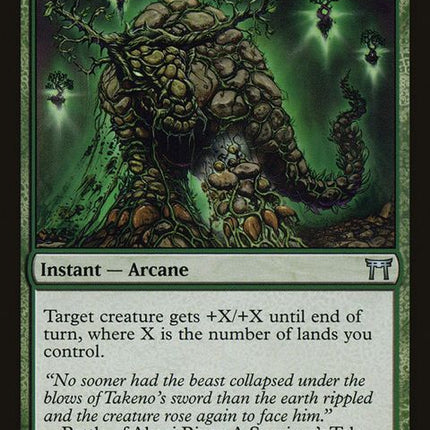 245-strengthofcedars