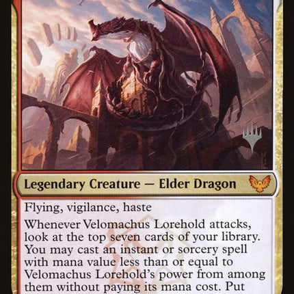 245p-velomachuslorehold