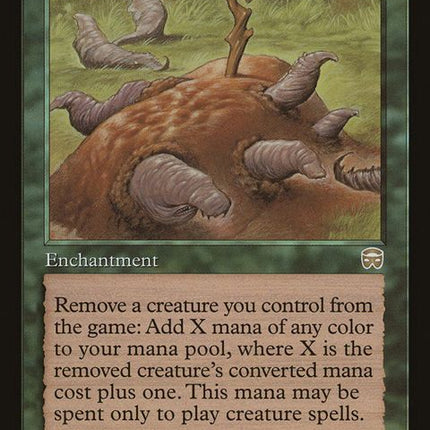 246-foodchain