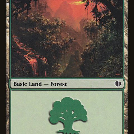246-forest
