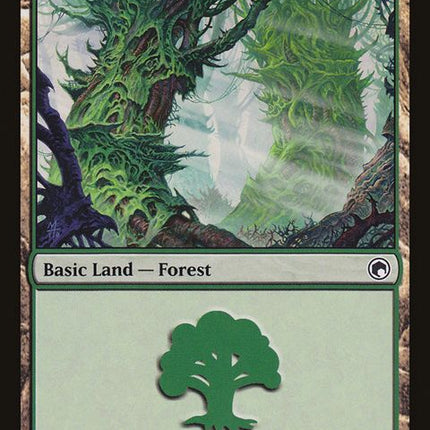 246-forest