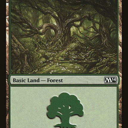 246-forest
