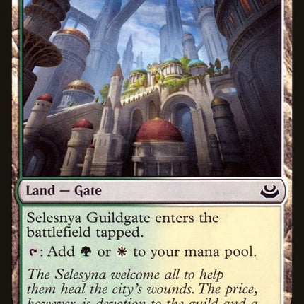 246-selesnyaguildgate