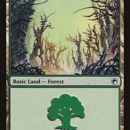 247-forest