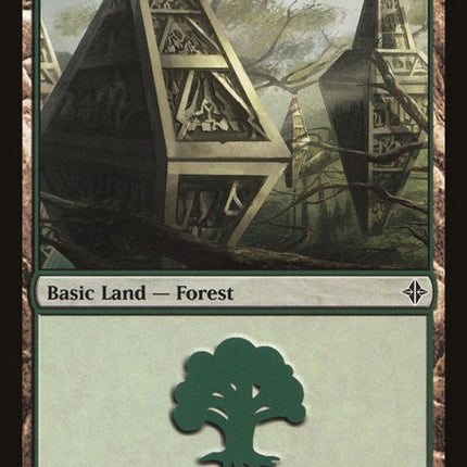 247-forest